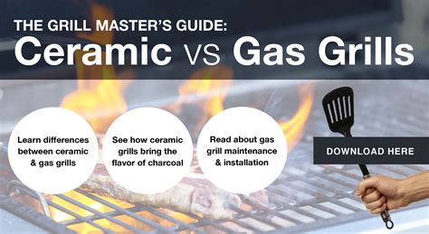 ceramic grill vs weber