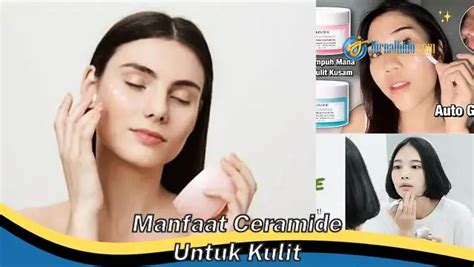 ceramide manfaat