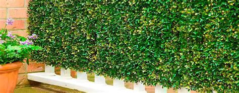 Cercos Verdes Artificiales