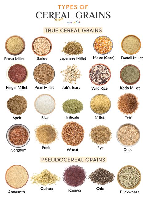 cereal grains list