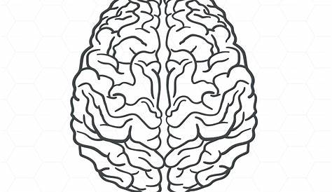 Brain Mind Psychology · Free image on Pixabay