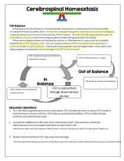 Homeostasis interactive worksheet