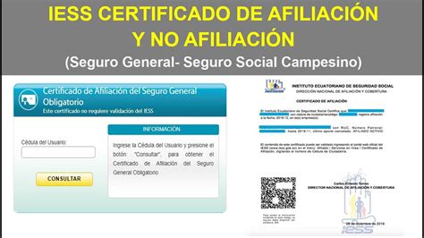 certificado de afiliacion al seguro