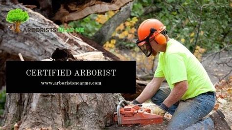 Why Hire an ISA Certified Arborist TLC Tree Expert