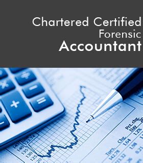 CPFA 정의 인증된 전문 법의학 회계사Certified Professional Forensic Accountant