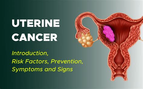 cervical cancer vs uterine cancer