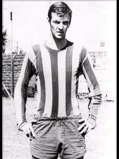 cesar luis menotti joven