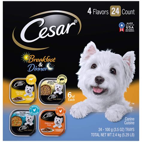 cesar wet dog food on sale