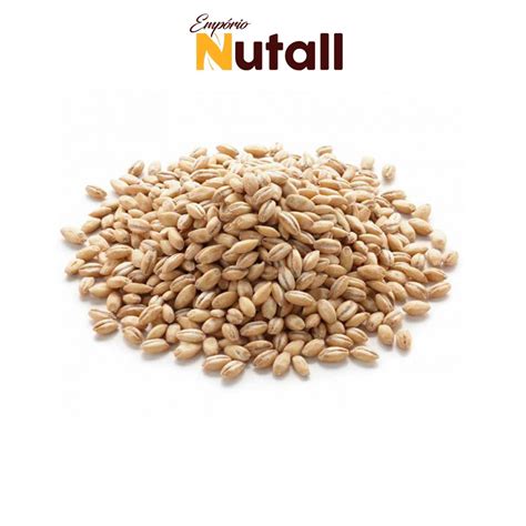 AGRICULTURA NO BRASIL Cultura da Cevada (Resumo)