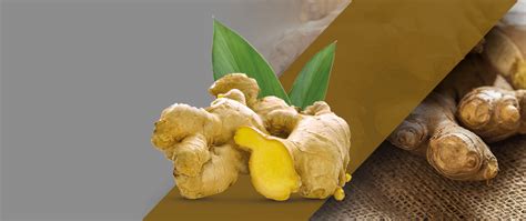 Ceylon Ginger