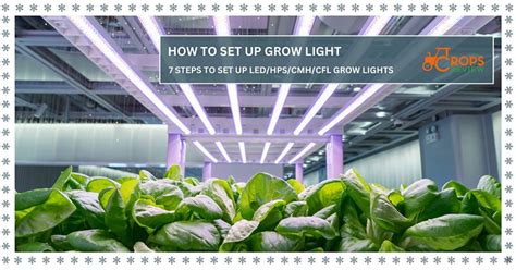 Cfl Grow Light Set Up