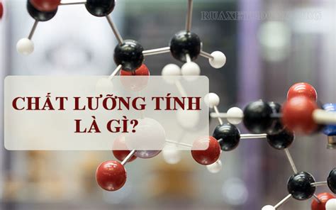 chất có tính chất lưỡng tính là