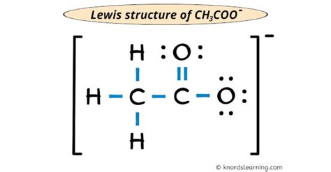 Ch3coo Lewis Structure