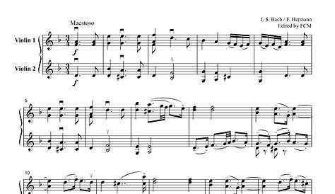 J.S.Bach Chaconne after Violin Partita BWV 1004