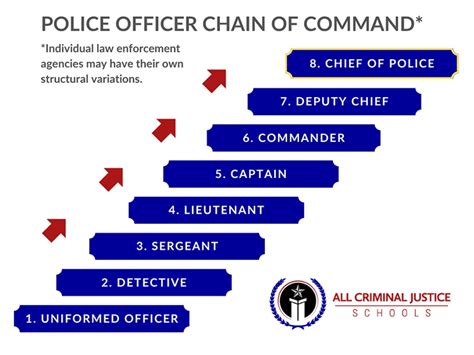 Chain Of Command In Government