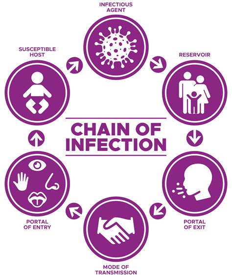 Chain Of Infection Description