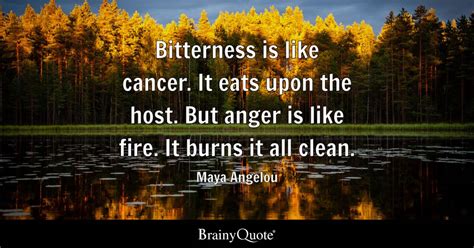 Chains of Bitterness Quotes