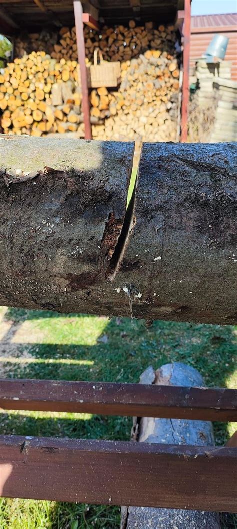 Chainsaw Pulling To The Left