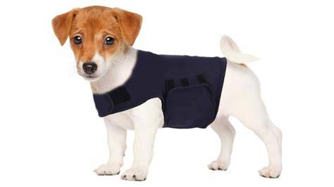 Chaleco para perro de caza proteccion, multicapa muy resistente