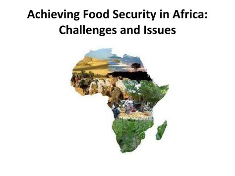 challenges of food security in africa