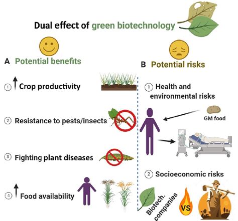 challenges of plant biotechnology