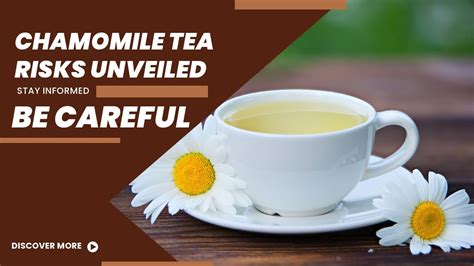 Chamomile Risks