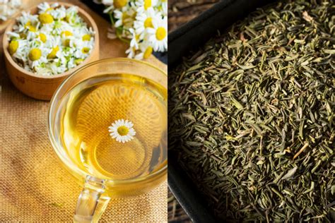 chamomile vs peppermint tea
