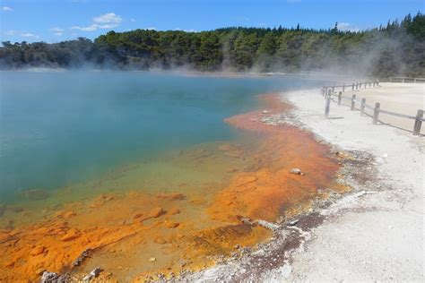 champagne pool waiotapu