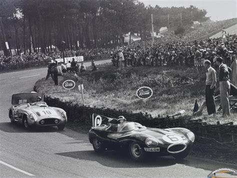 championnat du monde f1 1955