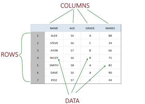 change data type pandas dataframe