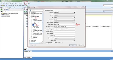 change date format in pl sql developer