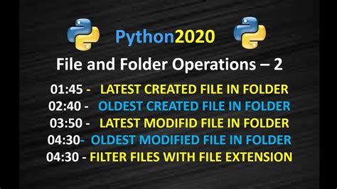 Change File Names In A Folder Python