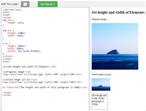 change image size css