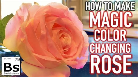 Change Rose Color