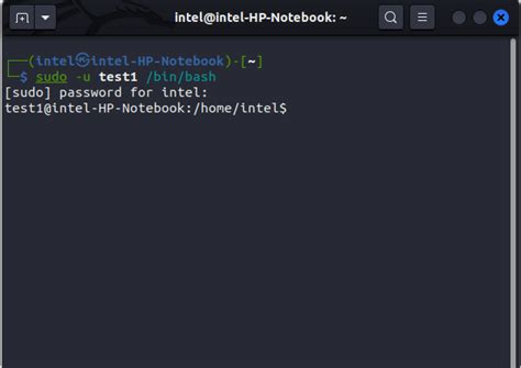 change to sudo user in terminal