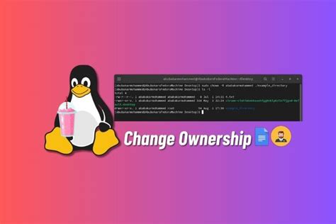How to Change File and Directory Ownership in Linux LabEx