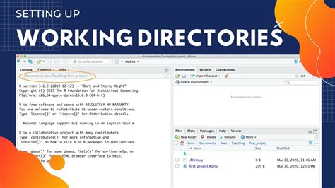 Programming for beginners R Writing code and setting working directory on Mac