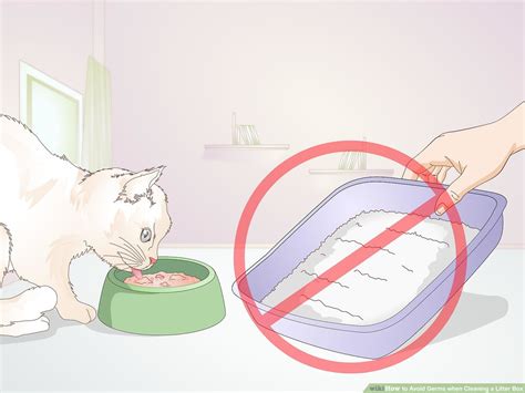 Changing Cat Box When Pregnant