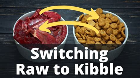 Changing From Kibble To Raw