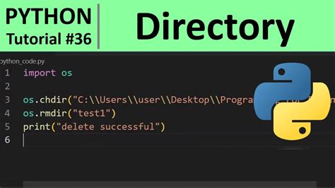 changing directory with python and os chdir YouTube