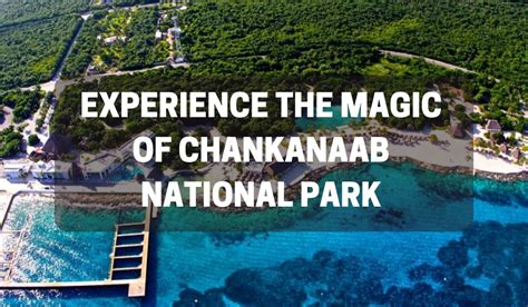 Unveiling the Secrets of Chankanaab: A Lost Oceanic Paradise