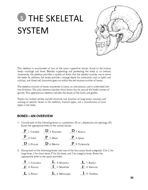 Chapter 5: The Skeletal System Anatomy And Physiology Coloring Workbook Answers