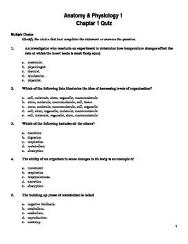 Chapter 1 Introduction to Anatomy and Physiology YouTube