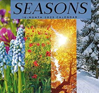 Chapters Indigo Wall Calendar