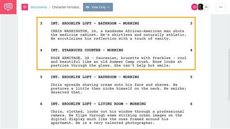 character description introduction examples
