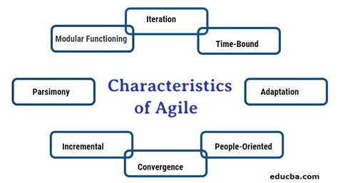 characteristics of agile process model