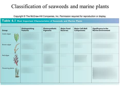 Characteristics Of Algae Quizlet