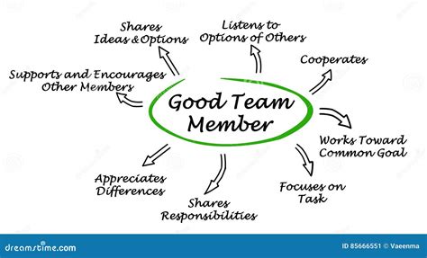 characteristics of good team members