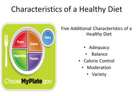 characteristics of healthy diet variety