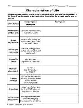 characteristics of life worksheet high school